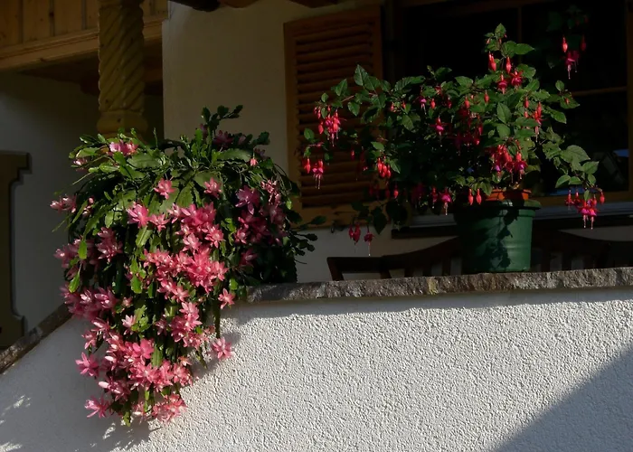 Haus Unterberg 게스트하우스